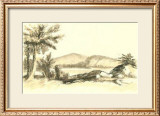 Rural Sketch II Print by J.d. Harding