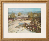 Desert Magic Prints by Vernon Kerr