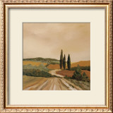 Shady Tuscan Fields Posters by J. Clark