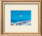 Wings in the Bleu IV Posters by A. Spitz