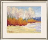 Last of the Snow Print by B. Oliver