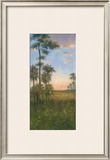 Tropical Serenity II Posters by J. D. Davidson
