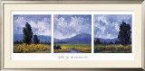 Golden Age Prints by Brigitte Curt