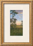 Tropical Serenity II Prints by J. D. Davidson