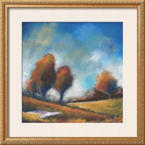 Tuscan Shadows IV Posters by Rossano 
