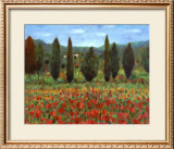 Poppies Posters by Paul Curtis