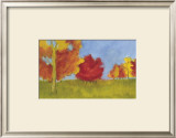Summer's Fall I Prints by Seth Conley