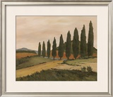 Shady Tuscan Road Print by J. Clark