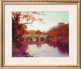 Season's Finale Prints by Edward Wilkins Waite