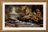 Watchful Eye Print by Craig Bone