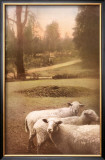 Ruthie's Sheep Posters by Barbara Kalhor