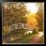 Wooden Bridge Print by T. C. Chiu