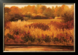 Sumach Creek Poster by Diann Haist