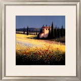Summer Villa Prints by David Short