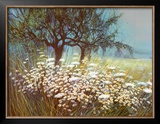 Field of Daisies Posters by G. Michaud