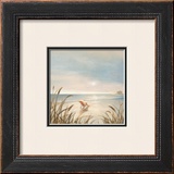 Beach Cottage Prints by Paulo Romero