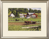 While the Sun Shines Prints by Bill Breedon