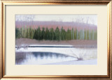 Cedars and Brook-Winter Poster by Saturday 