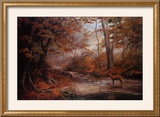 Woodland Stream Prints by Elizabeth Halstead
