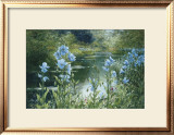Blue Poppies Pôsters por Peter Ellenshaw Blue Poppies Pôsters por Peter Ellenshaw