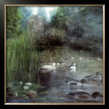 Walden Pond Pôsters por Piet Bekaert