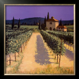Vineyard Shadows Posters by David Short