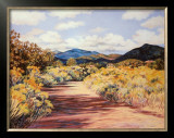 Arroyo Chamiso Prints by Maggie Muchmore