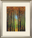 Colors of Fall II Prints by Mark Pulliam
