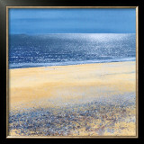 Silver Tide Posters by Paul Evans