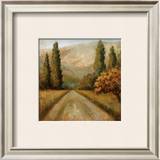 Along the Road Prints by Xavier 