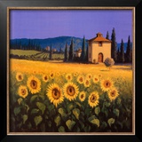 Golden Warmth Art by David Short