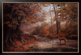 Woodland Stream Prints by Elizabeth Halstead