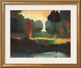 Cedar in Sunlight Art by Lawrence Mathis