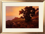 Golden Light at Sunset Print by Brian Blood