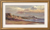 Rainborne Print by Rick Delanty