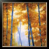 Blue Wood Canopy Posters by Robert Striffolino
