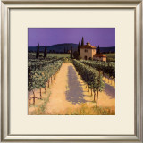 Vineyard Shadows Prints by David Short