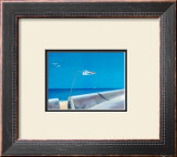 Wings in the Bleu IV Poster by A. Spitz