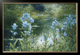 Blue Poppies Pôsteres por Peter Ellenshaw Blue Poppies Pôsteres por Peter Ellenshaw