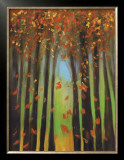 Colors of Fall II Poster by Mark Pulliam