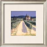 Vineyard Shadows Posters by David Short