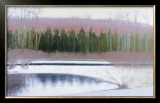 Cedars and Brook-Winter Print by Saturday 