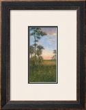 Tropical Serenity II Prints by J. D. Davidson