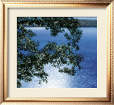 Silver Light, 2006 Prints by Alice Dalton Brown