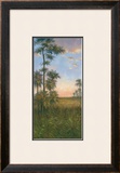 Tropical Serenity II Prints by J. D. Davidson