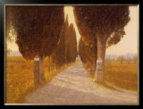 Tuscany Posters by Raymond Knaub