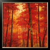 Vermilion Wood Prints by Robert Striffolino