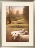 Ruthie's Sheep Posters by Barbara Kalhor