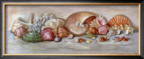 Ocean Still Life I Art by Nancy Wiseman