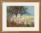 Field of Daisies Prints by G. Michaud